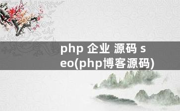 php 企业 源码 seo(php博客源码)